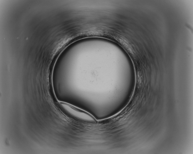 X0000096650487200802191246