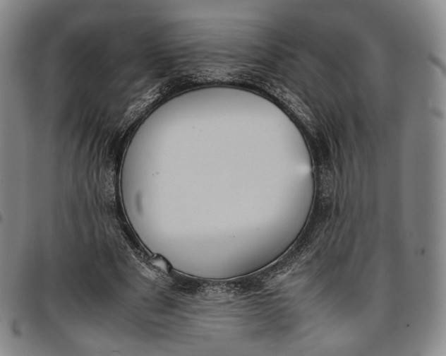 X0000096650489200802191246