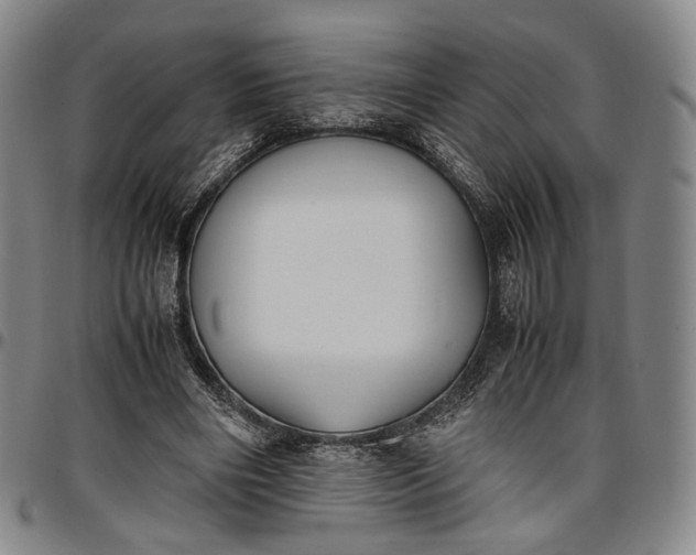 X0000096650490200802191246
