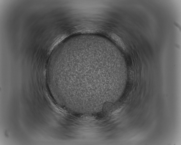 X0000096650491200802191246