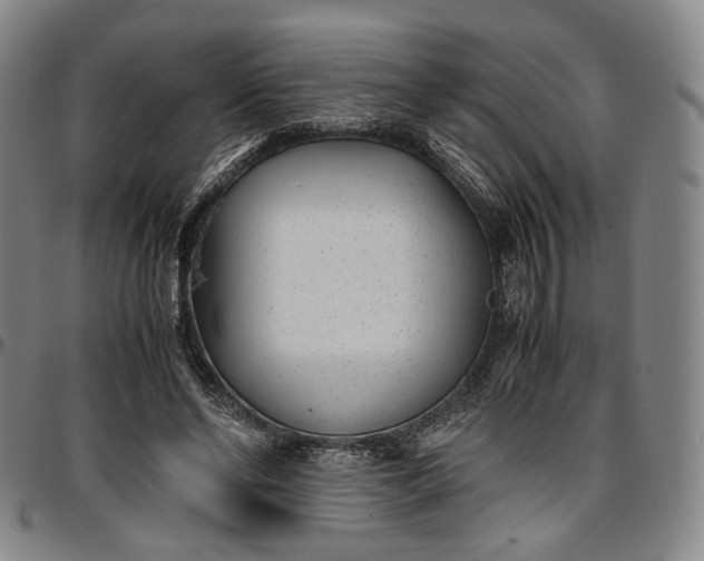 X0000096650494200802191246
