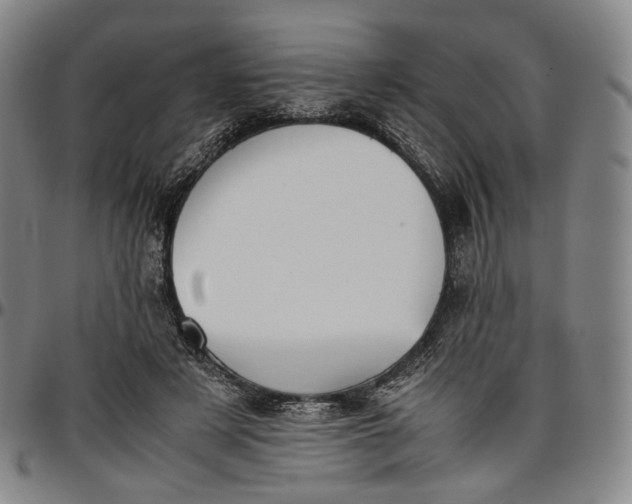 X0000096650497200802191246