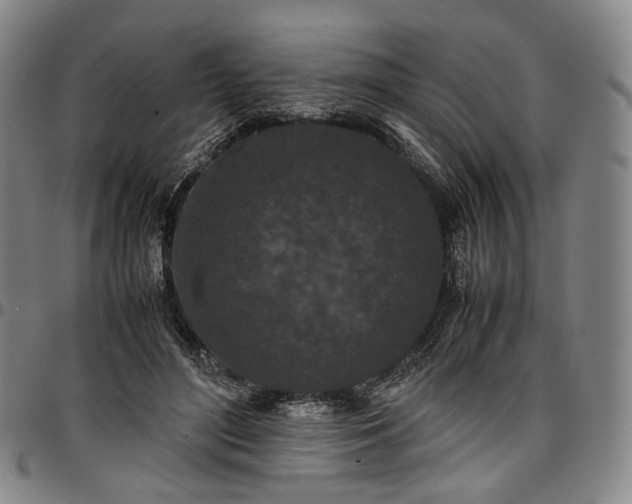 X0000096650500200802191246