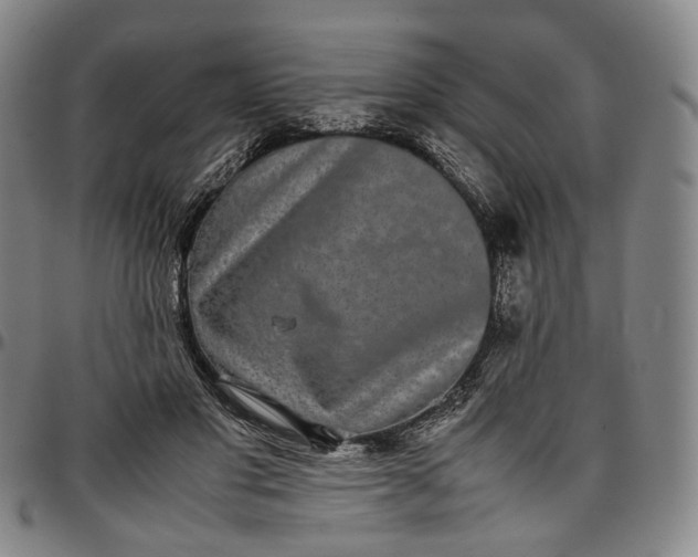 X0000096650501200802191246