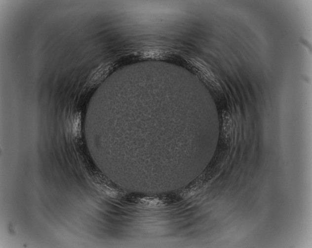X0000096650502200802191246