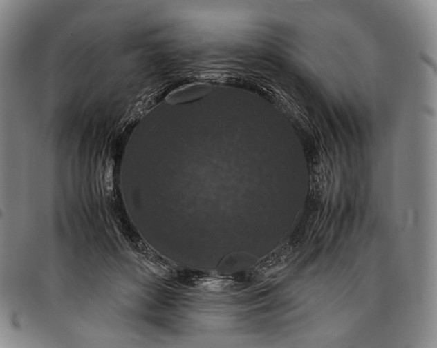 X0000096650504200802191246