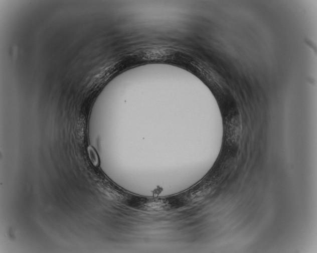 X0000096650505200802191246