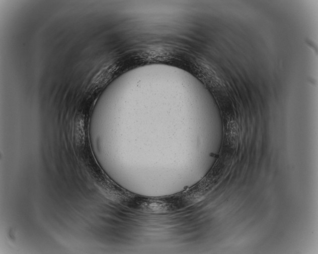 X0000096650506200802191246