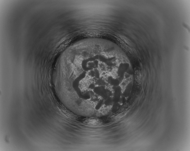X0000096650507200802191246