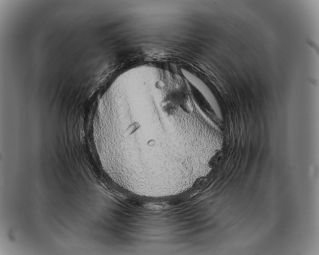 X0000096650508200802191246