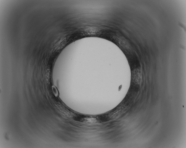 X0000096650509200802191246