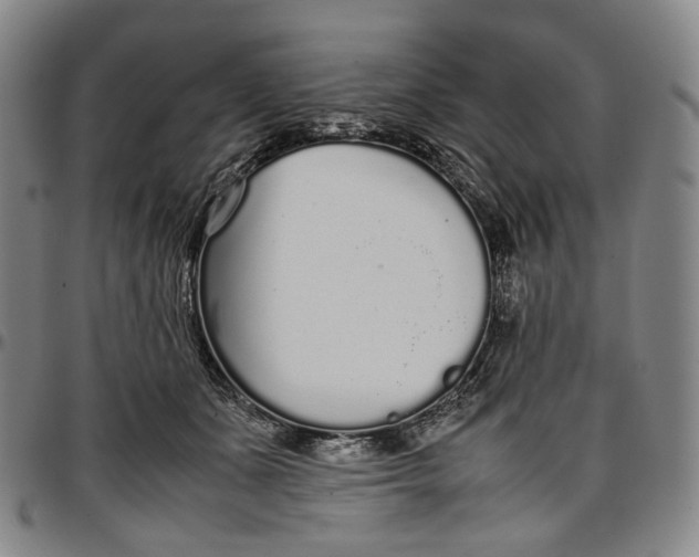 X0000096650511200802191246