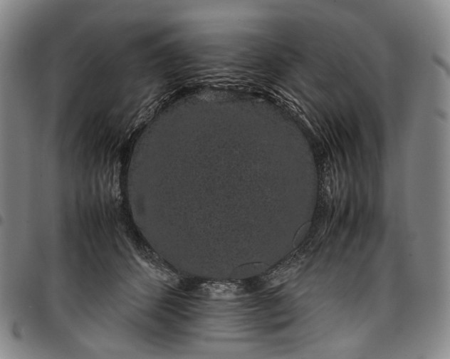 X0000096650512200802191246