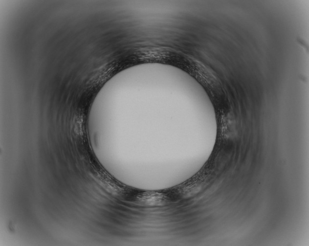 X0000096650514200802191246