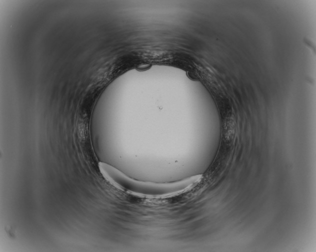 X0000096650515200802191246