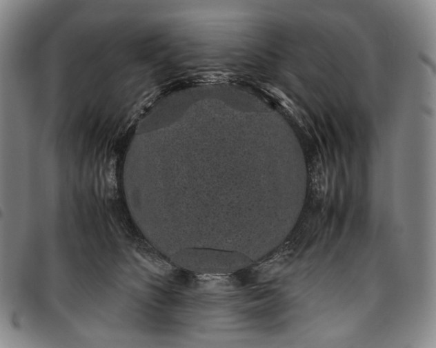 X0000096650516200802191246