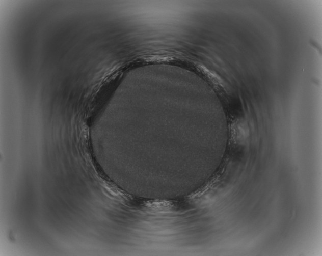 X0000096650517200802191245