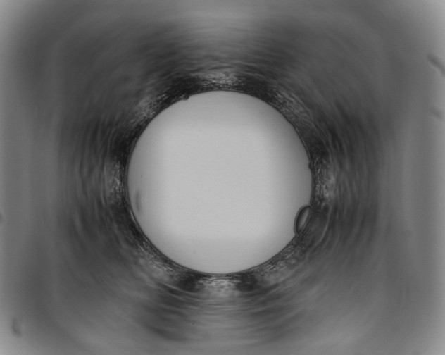 X0000096650518200802191245