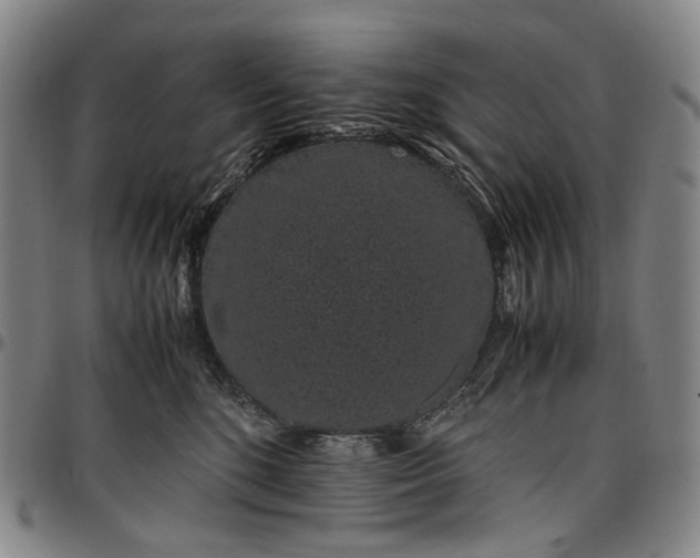 X0000096650520200802191245