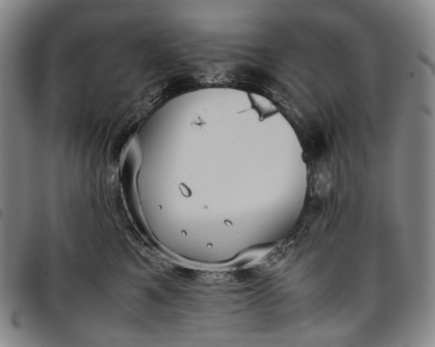 X0000096650521200802191245