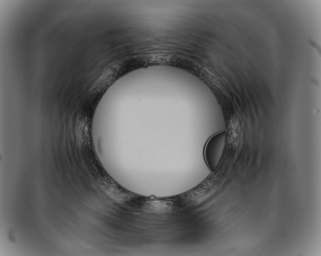 X0000096650522200802191245