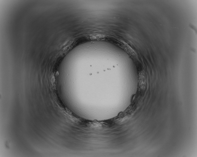 X0000096650523200802191245