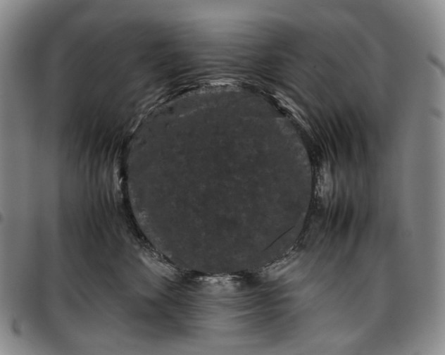 X0000096650524200802191245
