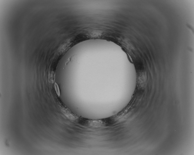 X0000096650525200802191245
