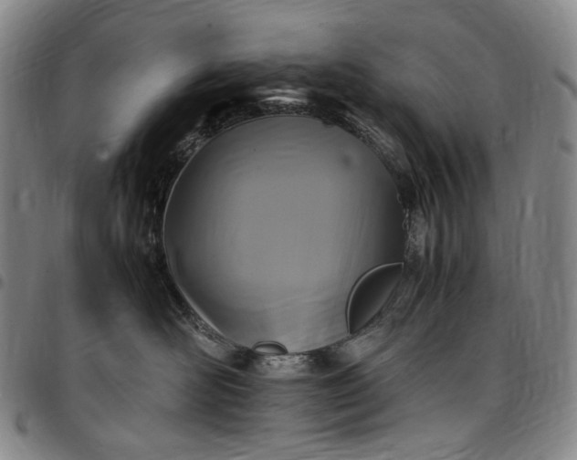 X0000096650526200802191245
