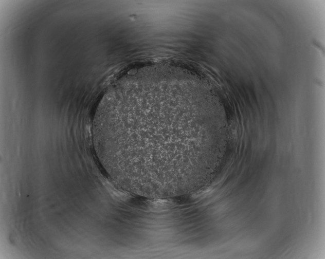 X0000096650527200802191245