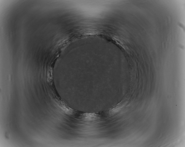 X0000096650528200802191245