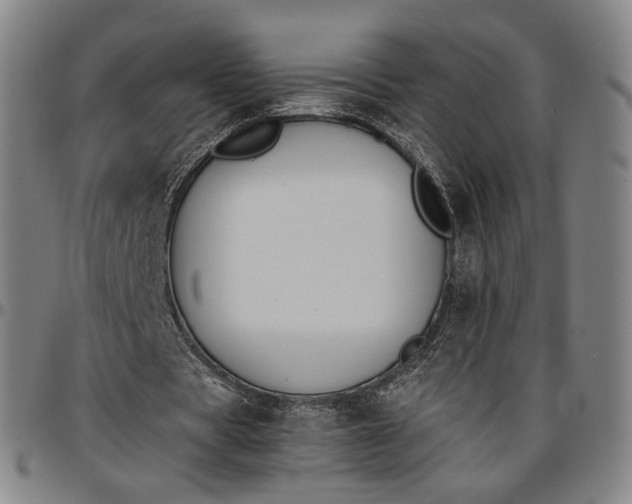 X0000096650529200802191245