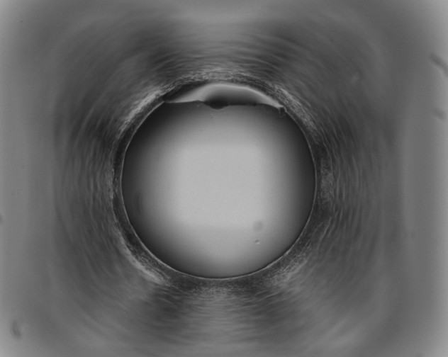 X0000096650530200802191245