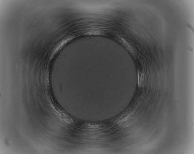 X0000096650531200802191245