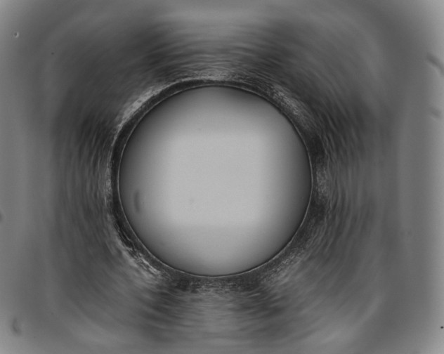 X0000096650532200802191245
