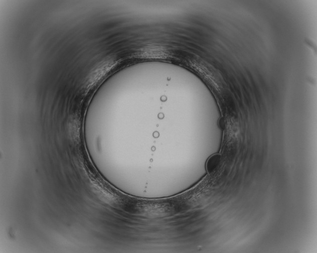 X0000096650533200802191245