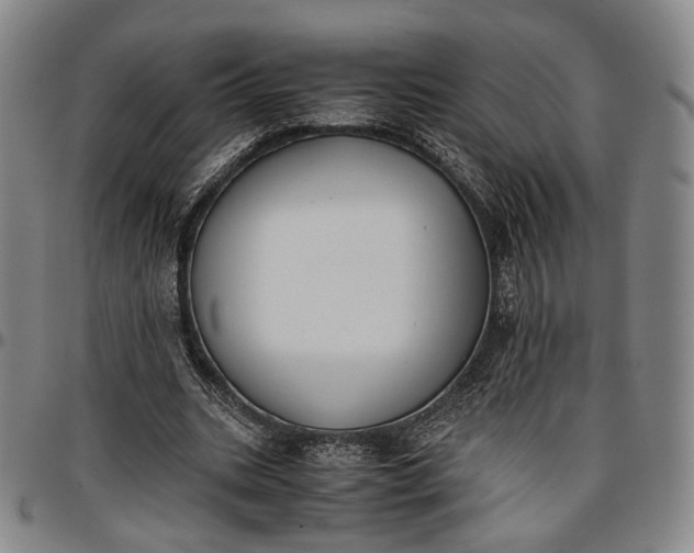 X0000096650535200802191245