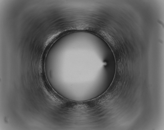 X0000096650536200802191245