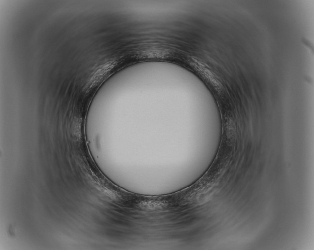 X0000096650537200802191245