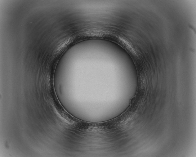 X0000096650538200802191245
