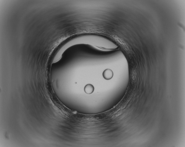 X0000096650540200802191245