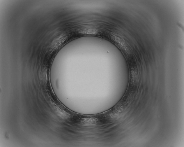 X0000096650541200802191245