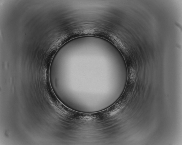 X0000096650542200802191245
