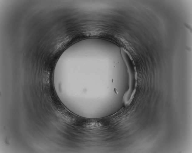 X0000096650543200802191245
