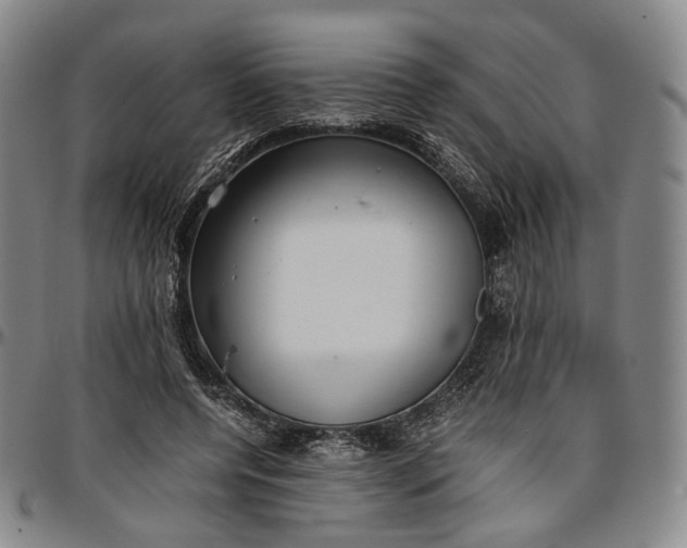 X0000096650544200802191245