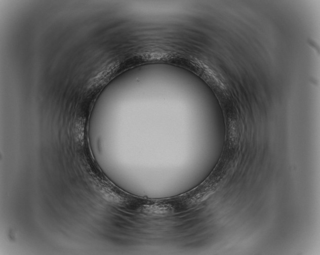 X0000096650545200802191245