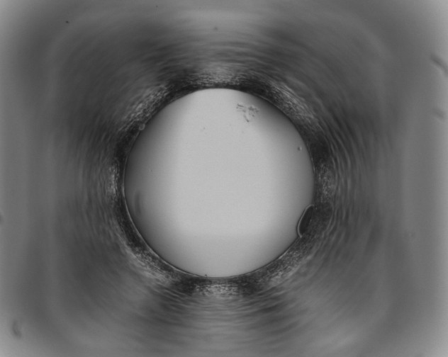 X0000096650546200802191245