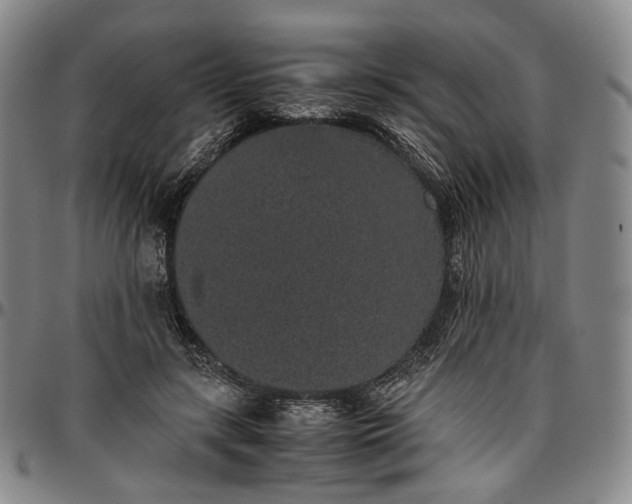 X0000096650547200802191245