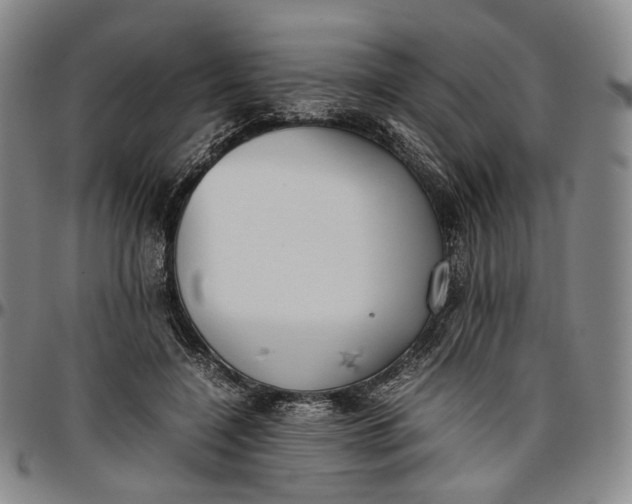 X0000096650548200802191245