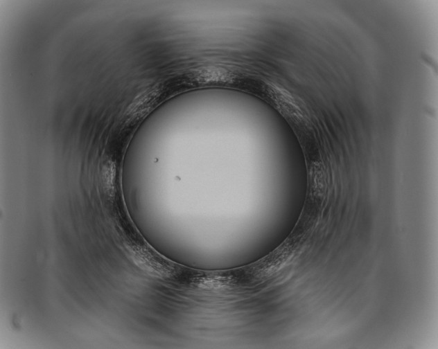 X0000096650550200802191245